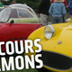 Illustration for article titled Join Me On A Tour Through The iConcours dLemons/i